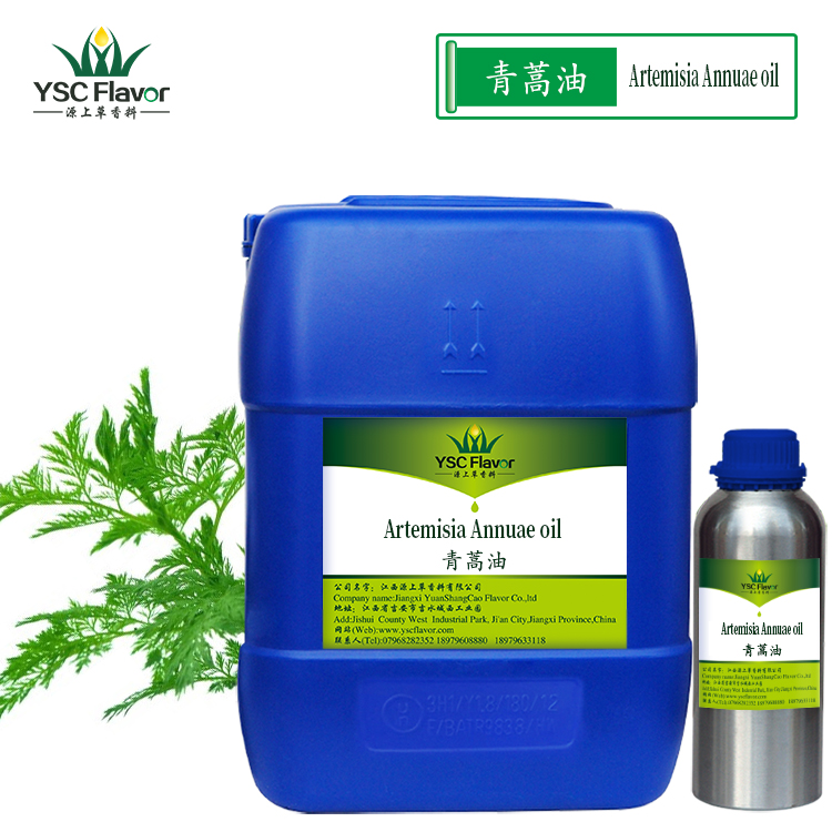 厂家直销 青蒿精油 青蒿油 茵陈蒿油 天然植物提取