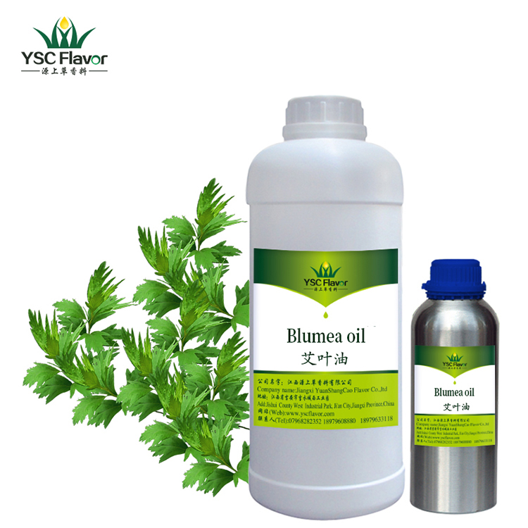 100% pure natural plant extract mugwort essential oil for health care