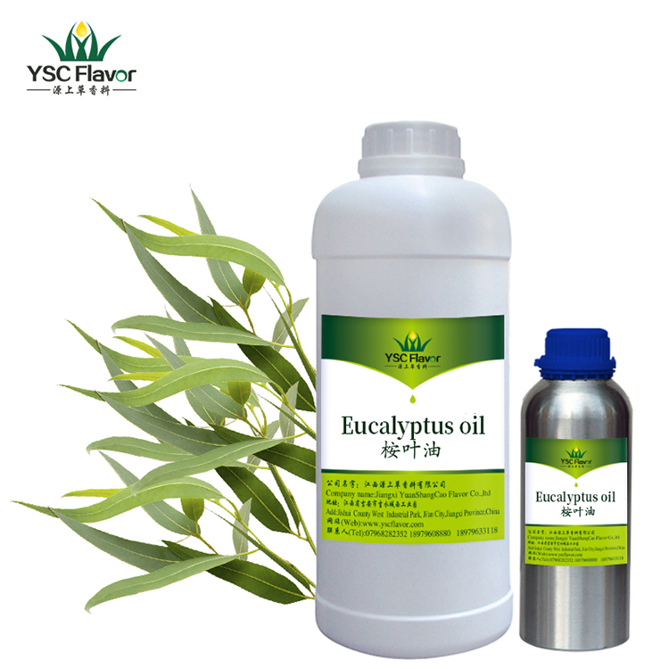 Cosmetic grade OEM 100% pure Eucalyptus oil/Oleum eucalyptol CAS 8000-48-4